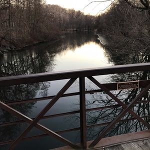 Meet your Posher, Rosanna